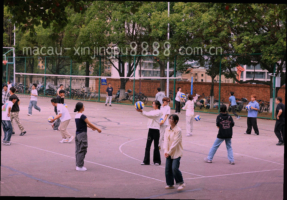 分叉的线性路径图，末端有两个判断节点，无文字